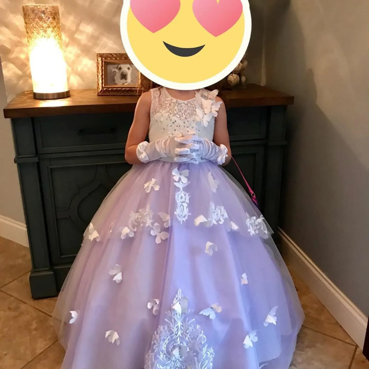 Flower Girl Dress Kids Lace Beaded Pageant Ball Gowns