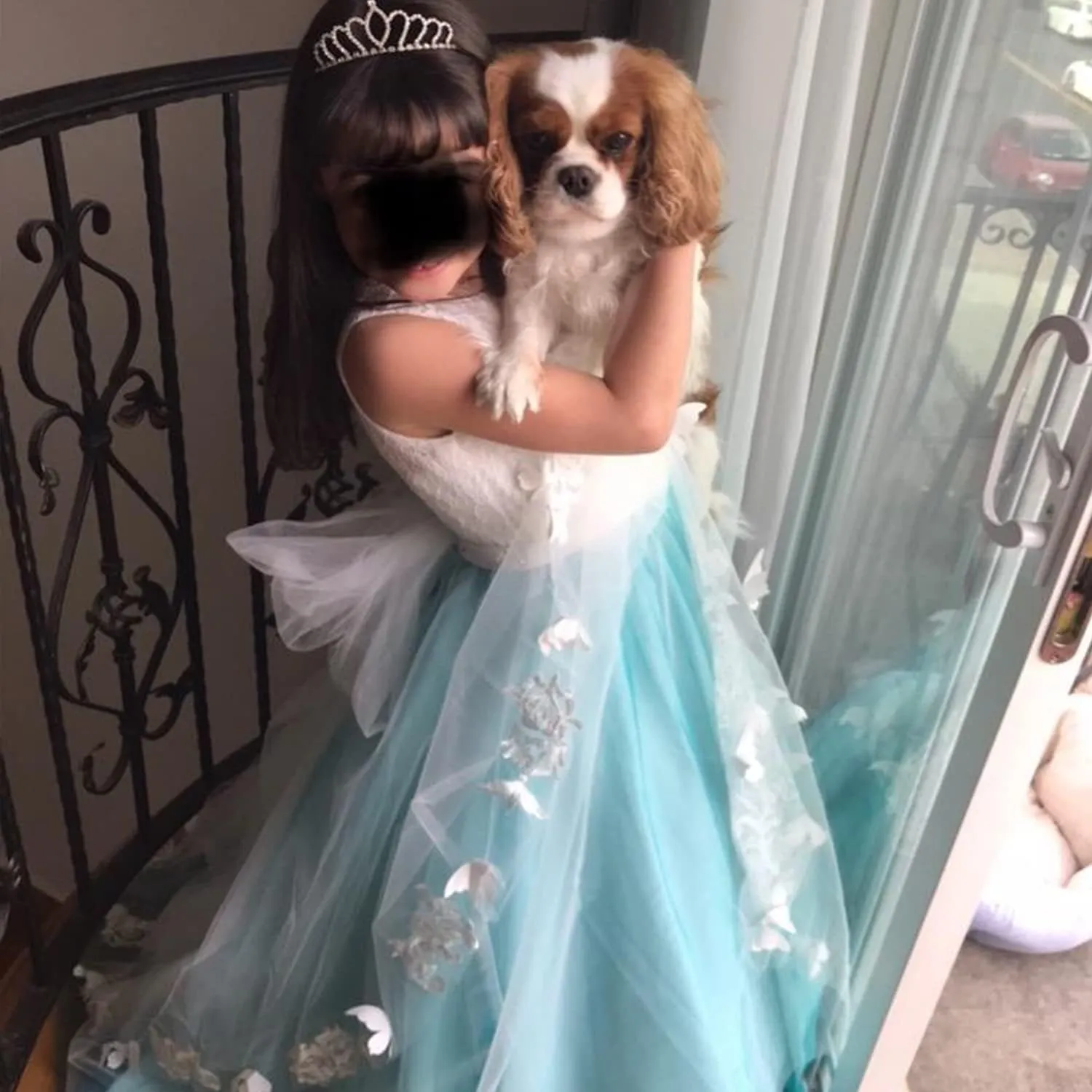 Flower Girl Dress Kids Lace Beaded Pageant Ball Gowns